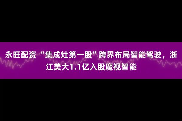 永旺配资 “集成灶第一股”跨界布局智能驾驶，浙江美大1.1亿入股魔视智能