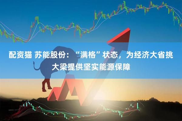 配资猫 苏能股份：“满格”状态，为经济大省挑大梁提供坚实能源保障