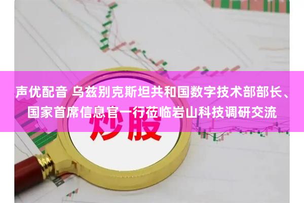 声优配音 乌兹别克斯坦共和国数字技术部部长、国家首席信息官一行莅临岩山科技调研交流