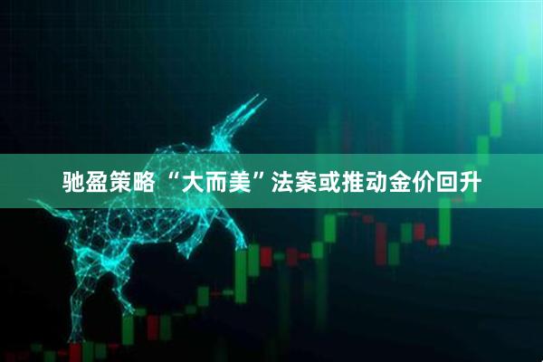 驰盈策略 “大而美”法案或推动金价回升