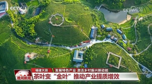 智财资本 发展特色产业 激活乡村振兴新动能