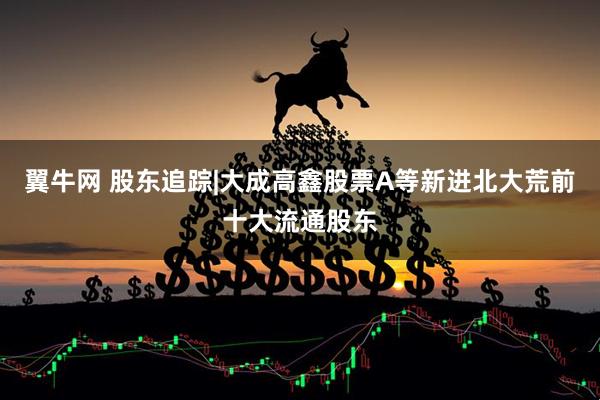翼牛网 股东追踪|大成高鑫股票A等新进北大荒前十大流通股东