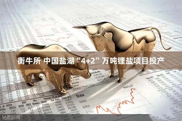 衡牛所 中国盐湖“4+2”万吨锂盐项目投产