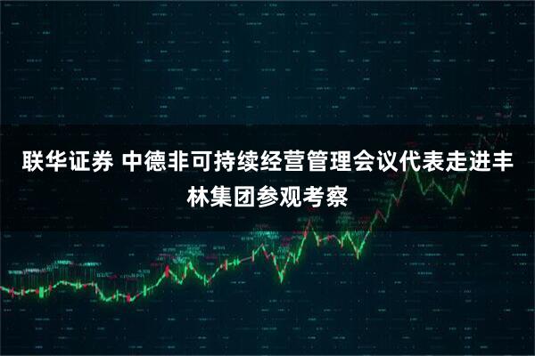联华证券 中德非可持续经营管理会议代表走进丰林集团参观考察